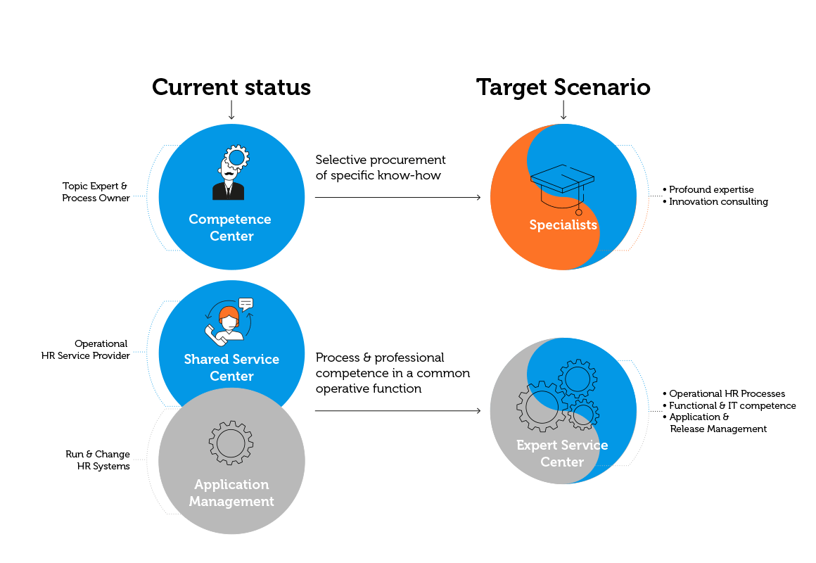 Transition to the common operating model through functional recalibration