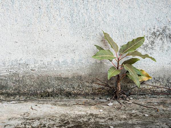 Digitaler Wandel: Agil ist, wer sich anpassen kann Digitaler Wandel: Agil ist, wer sich anpassen kann