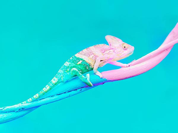 De uitdaging van VUCA-omgevingen