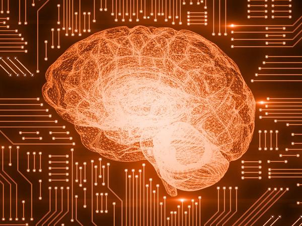 Contribuer activement au changement de paradigme dans l'apprentissage en entreprise. Contribuer activement au changement de paradigme dans l'apprentissage en entreprise.