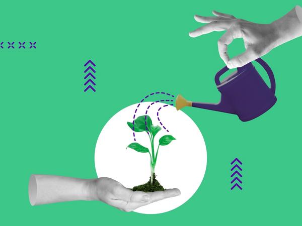 Header Image Wachstum mit Talentmanagement