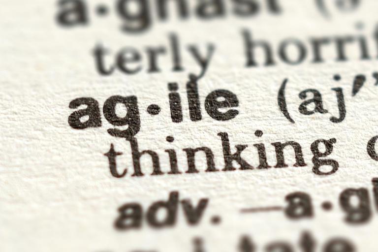 Het "Agile Manifesto" of de noodzaak om flexibel in te spelen op veranderingen
