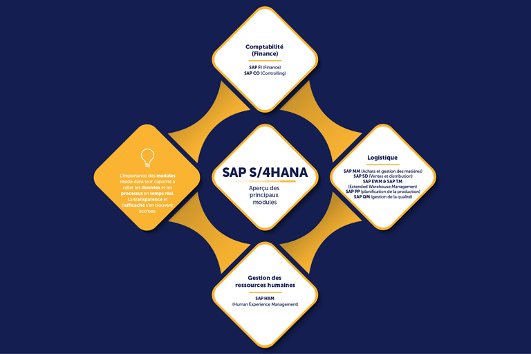 Modules SAP : aperçu des principaux modules SAP