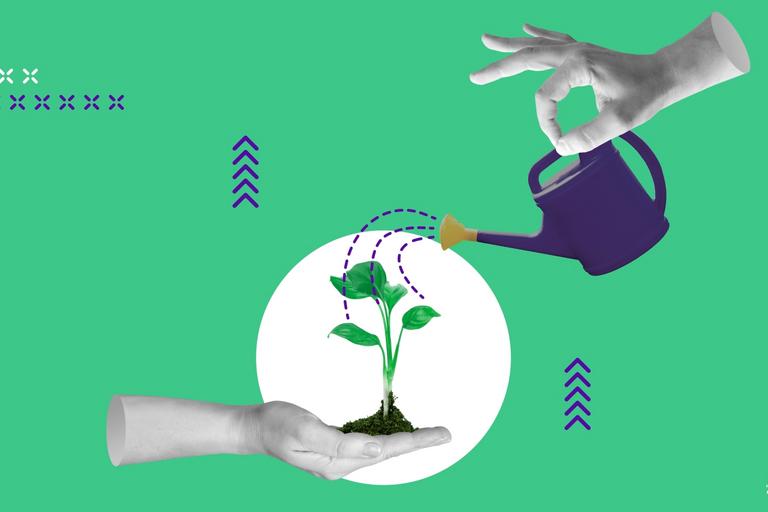 Header Image Wachstum mit Talentmanagement 