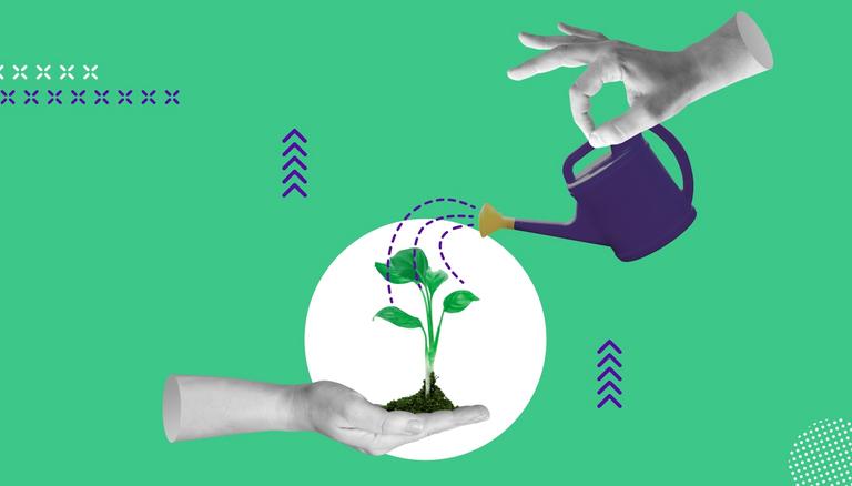 Header Image Wachstum mit Talentmanagement 