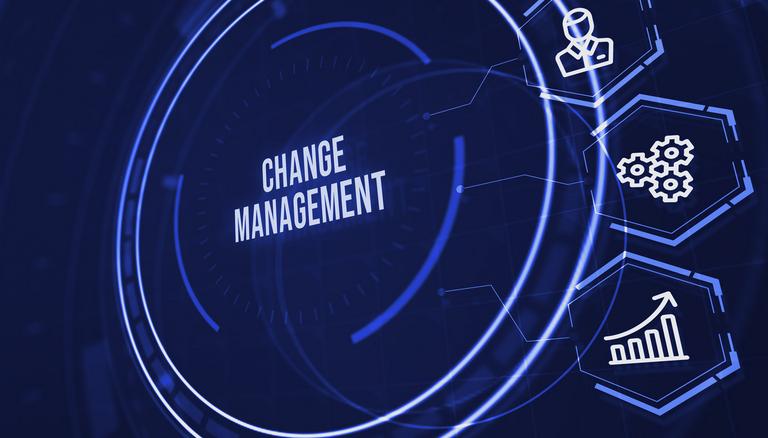 Welche Digital-Adoption-Software unterstützt kontinuierliches Change Management im Unternehmen