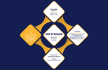 Modules SAP : aperçu des principaux modules SAP