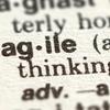 Das „Agile Manifest“ oder Von der Notwendigkeit, flexibel auf Veränderungen zu reagieren